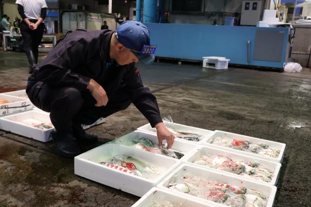 市場で魚を選ぶ店主