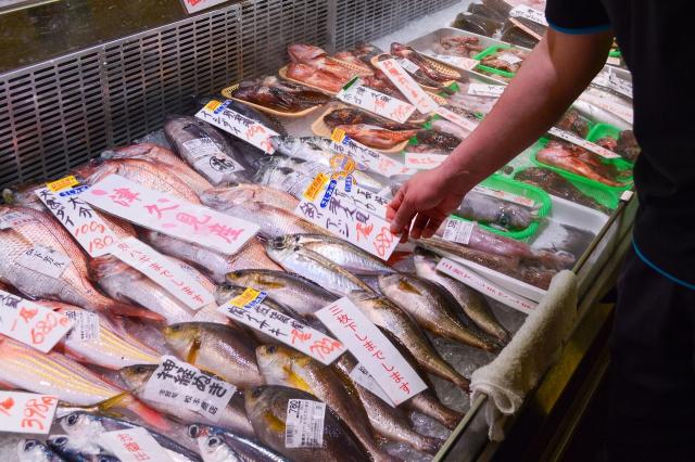 開店後魚の値札を触る店主