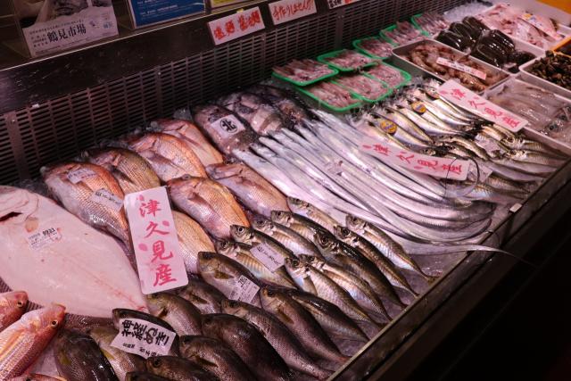 開店準備が終わった大量の魚の陳列ケース